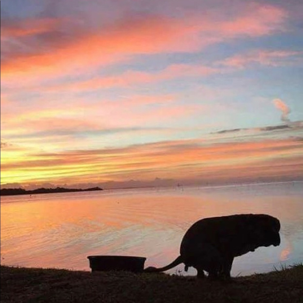 Meet your Posher, Corinne